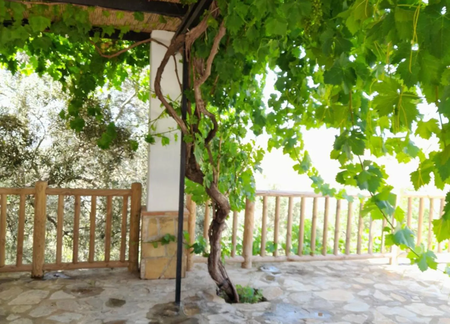 La Sombra Villa Antequera Holiday home